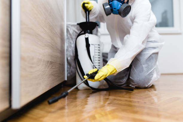 Best Best Pest Control Companies  in Perry, FL