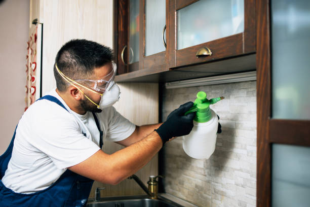 Trusted Perry, FL Pest Control Experts
