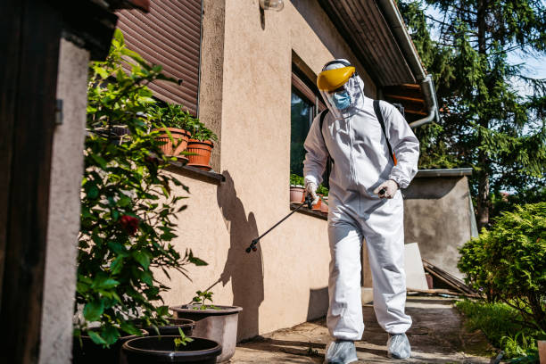 Best Wasp Removal Services  in Perry, FL