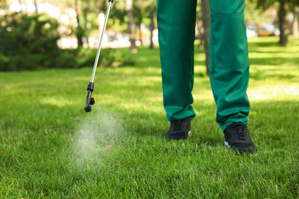 Bird Control in Perry, FL