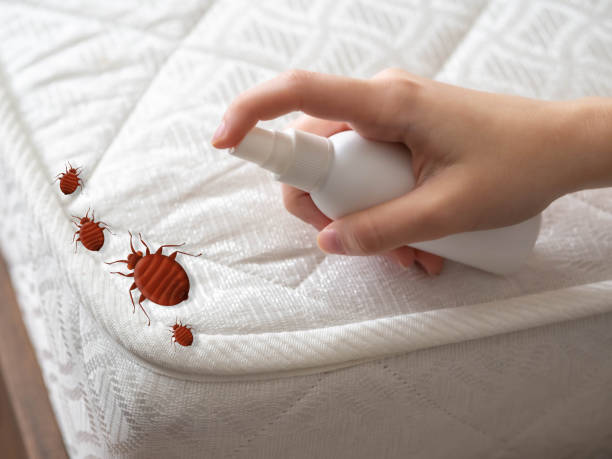 Best Pest Control for Homes  in Perry, FL