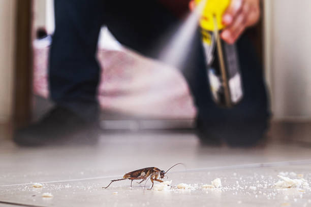 Best Affordable Pest Control Services  in Perry, FL