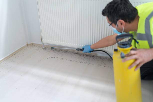 Best Wasp Removal Services  in Perry, FL